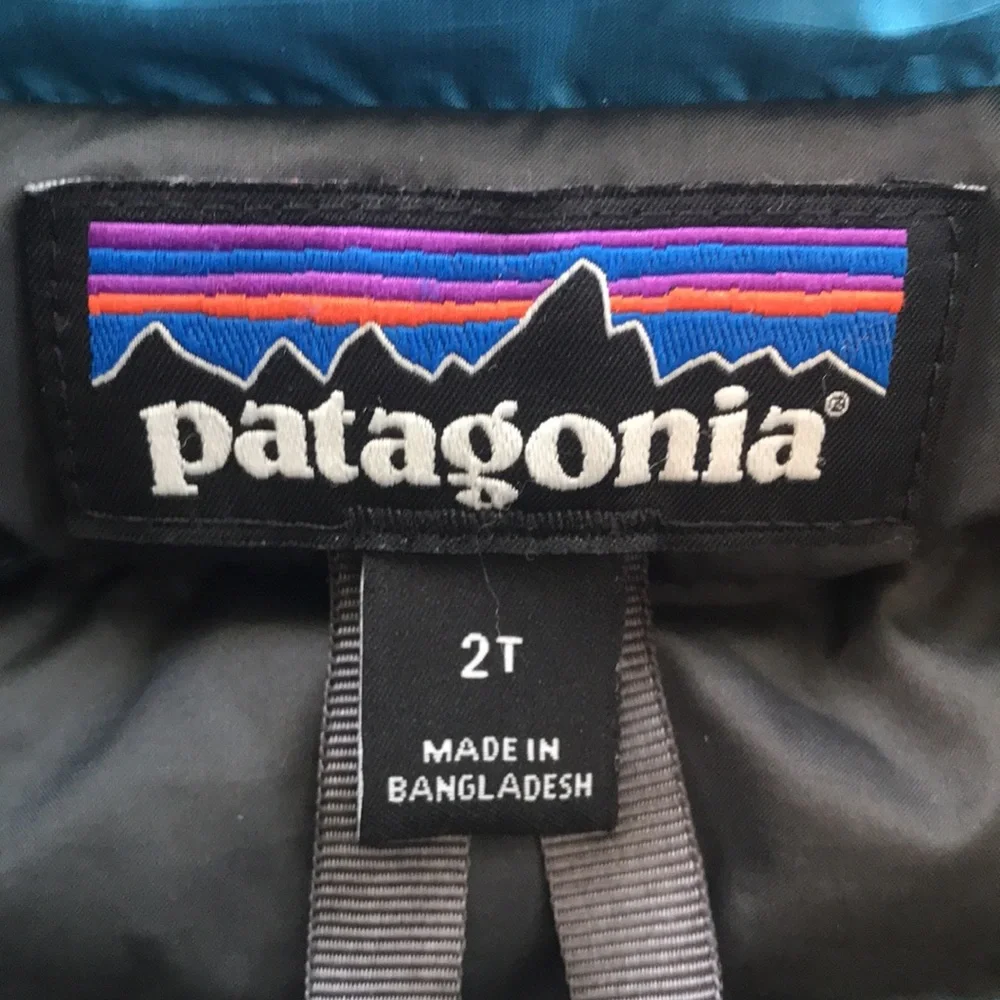 Patagonia Puffer Jacket (size 2T)